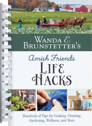 9781636096933 Wanda E Brunstetters Amish Friends Life Hacks