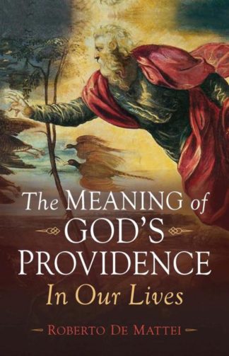 9781644139554 Meaning Of Gods Providence