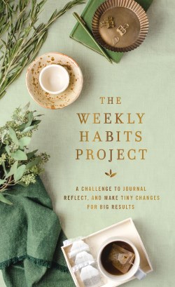 9780310464105 Weekly Habits Project