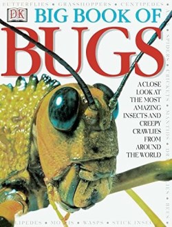 9780789465207 Big Book Of Bugs
