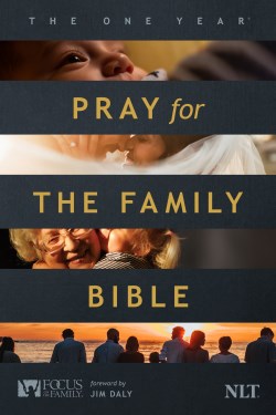 9781496467973 1 Year Pray For The Family Bible