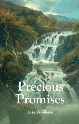 9781800400191 Precious Promises
