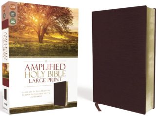 9780310444053 Amplified Bible Large Print