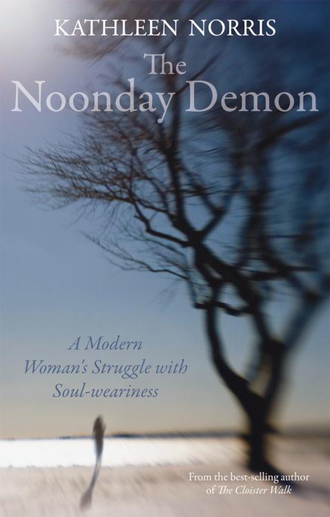 9780745953663 Noonday Demon : A Modern Woman's Struggle With Soulweariness