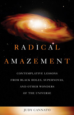 9781893732995 Radical Amazement : Contemplative Lessons From Black Holes Supernovas And O