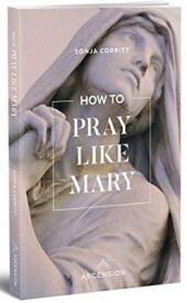 9781945179495 How To Pray Like Mary