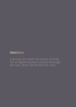 9780785236160 Bible Journal Galatians Comfort Print