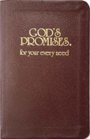 9780849951329 Gods Promises For Your Every Need