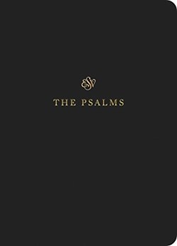 9781433546495 Scripture Journal Psalms