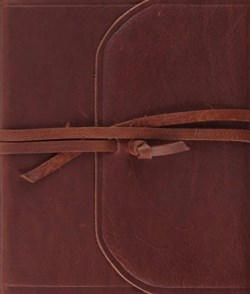 9781433582462 Single Column Journaling Bible