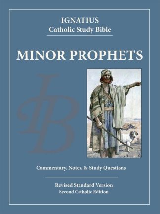 9781621641100 Minor Prophets : Commentary
