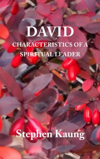 9781680621662 David : Characteristics Of A Spiritual Leader