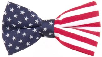 796736089005 Patriotic Bow Tie American