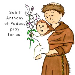 796745000534 Saint Anthony Of Padua (Magnet)