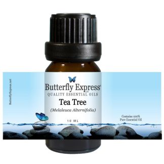 810095031670 Tea Tree Essential Oil