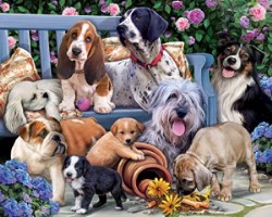 871241009370 Dogs On A Bench 1000 Piece (Puzzle)