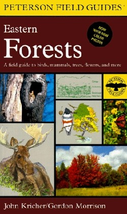9780395928950 Eastern Forests : A Field Guide To Birds Mammals Trees Flowers And More