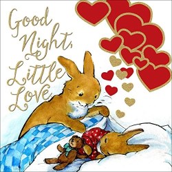 9780718034672 Good Night Little Love
