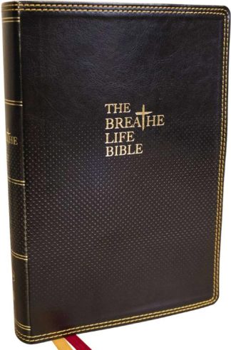 9780785263364 Breathe Life Holy Bible Comfort Print