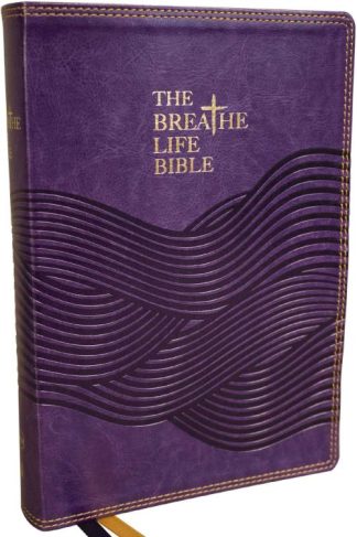 9780785263562 Breathe Life Holy Bible Comfort Print