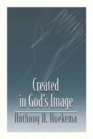 9780802808509 Created In Gods Image (Reprinted)