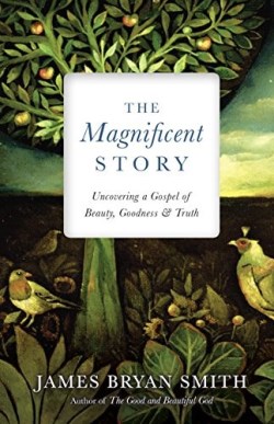 9780830846368 Magnificent Story : Uncovering A Gospel Of Beauty Goodness And Truth