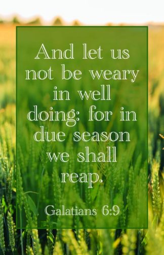 9781087765327 And Let Us Not Be Weary We Shall Reap Galatians 6:9 KJV Pack Of 100