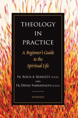 9781621646259 Theology In Practice
