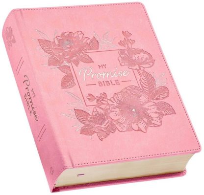 9781642726534 My Promise Bible Journaling Bible