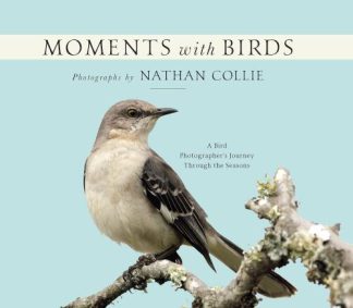 9781954437500 Moments With Birds
