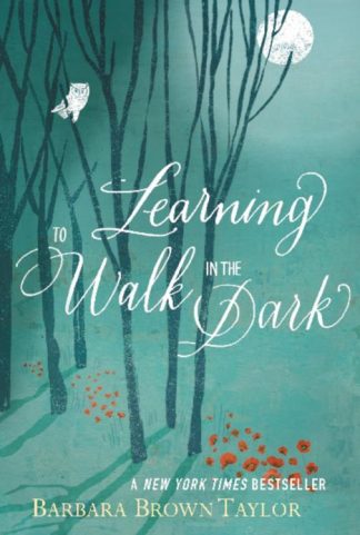 9780062024343 Learning To Walk In The Dark