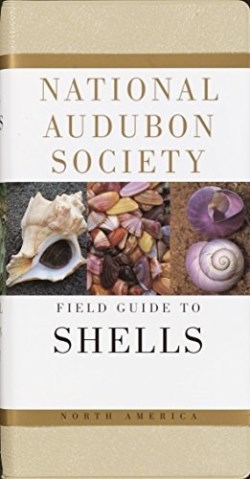 9780394519135 Field Guide To Shells North America