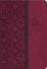 9781401680336 Study Bible Second Edition