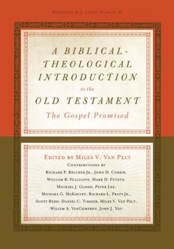 9781433533464 Biblical Theological Introduction To The Old Testament