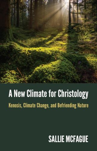 9781506478739 New Climate For Christology