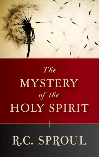 9781845504816 Mystery Of The Holy Spirit