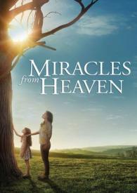 043396467200 Miracles From Heaven (DVD)
