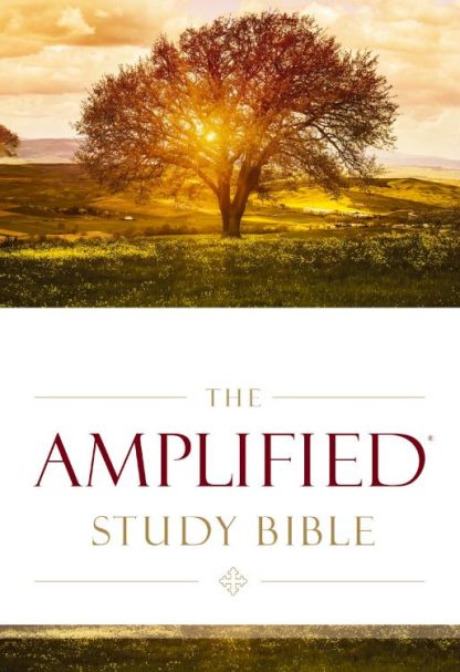 9780310440307 Amplified Study Bible