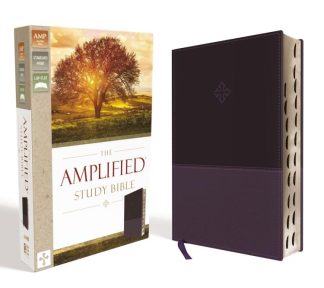 9780310446538 Amplified Study Bible