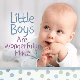 9780736965842 Little Boys Are Wonderfully Made