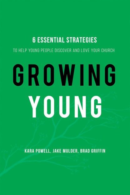 9780801019258 Growing Young : 6 Essential Strategies To Help Young People Discover And Lo (Rep