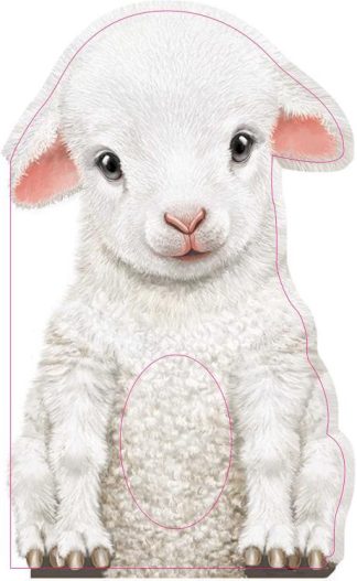 9781438050133 Furry Lamb