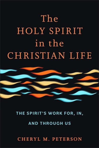 9781540967336 Holy Spirit In The Christian Life