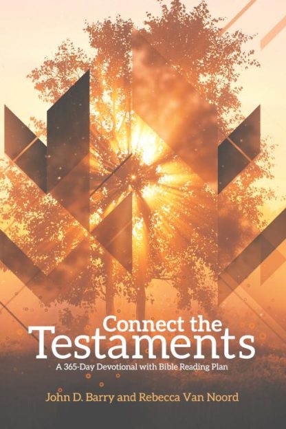 9781577995821 Connect The Testaments
