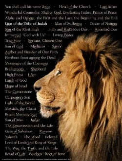 9781628620078 Lion Of Judah Names Of Christ Wall Chart Laminated