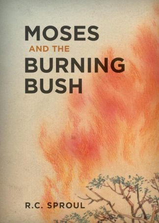 9781642896145 Moses And The Burning Bush
