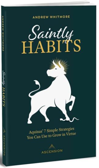 9781954881679 Saintly Habits : Aquinas' 7 Simple Strategies You Can Use To Grow In Virtue