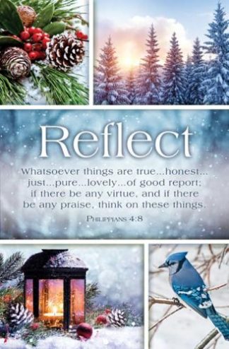 730817359687 Winter Reflect Pack Of 100
