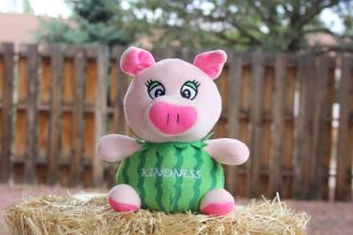 759740954639 Kindness The Watermelon Pig
