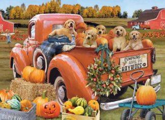 819273024152 Autumn Puppies 1000 Piece (Puzzle)